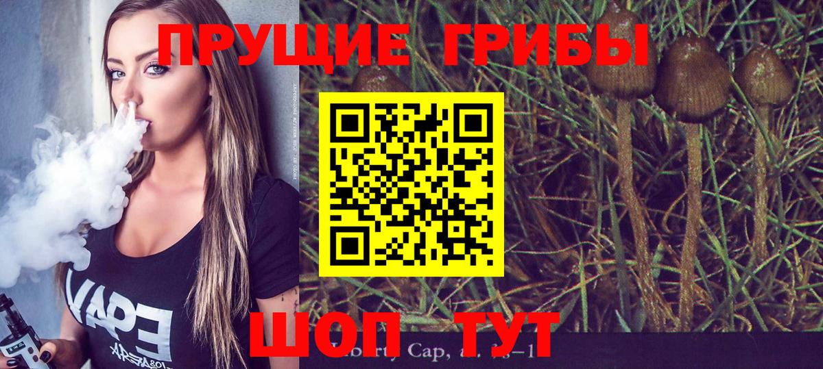 Галлюциногенные грибы Cubensis Осинники