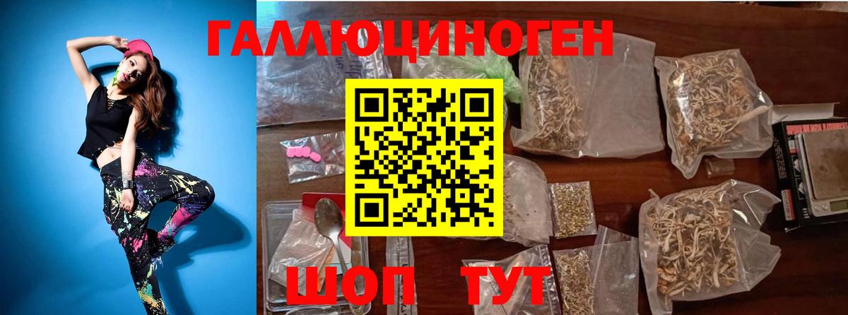 Осинники  Псилоцибиновые грибы мицелий  Вход с VPN 
